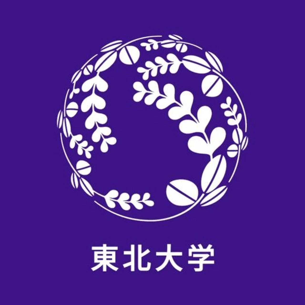 日本东北大学——世界一流日本顶尖学府 6015东北大学,本部位于