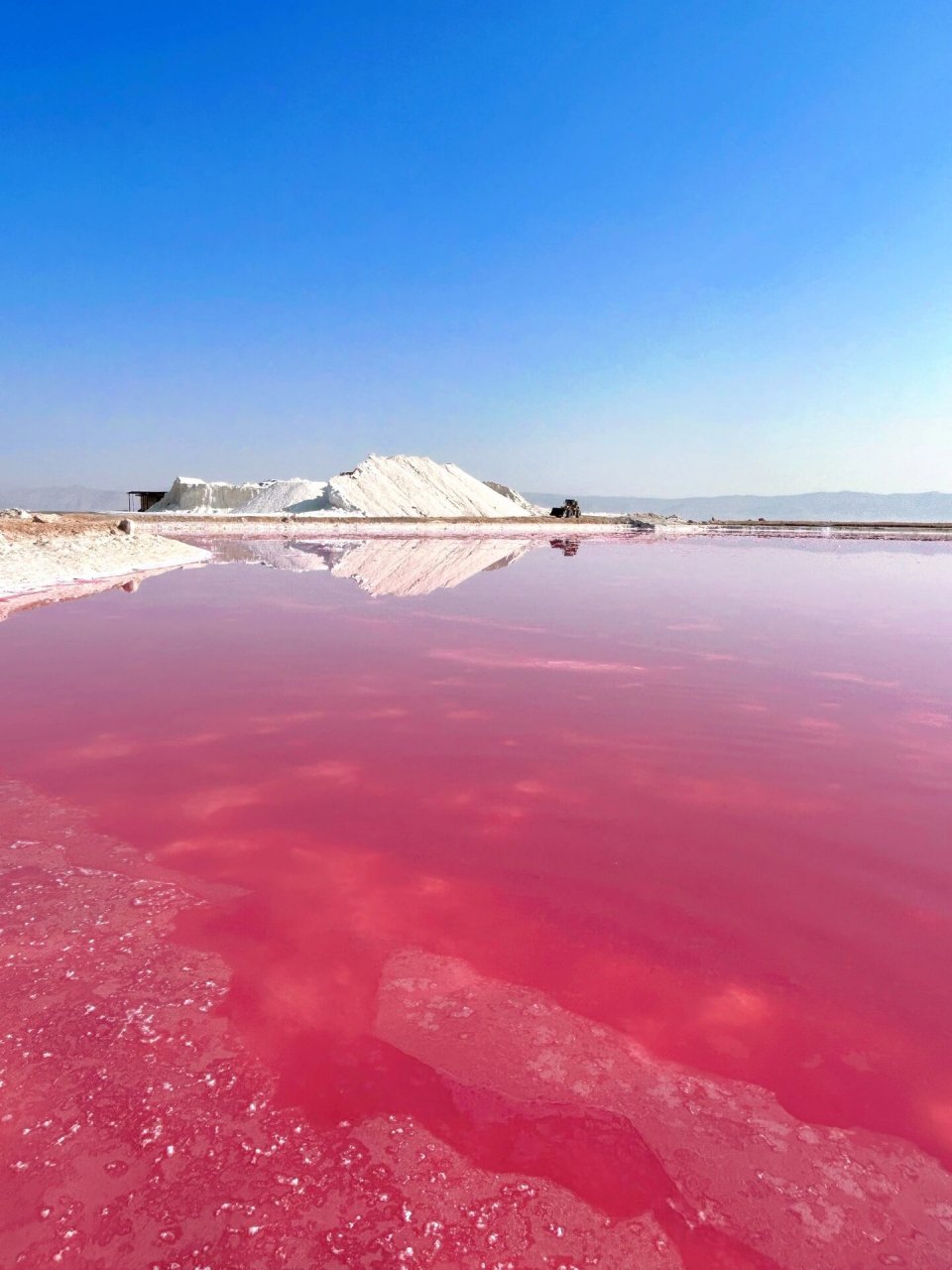 伊朗粉红盐湖 住在设拉子市区,前一天跟酒店前台约了车,市区到粉湖