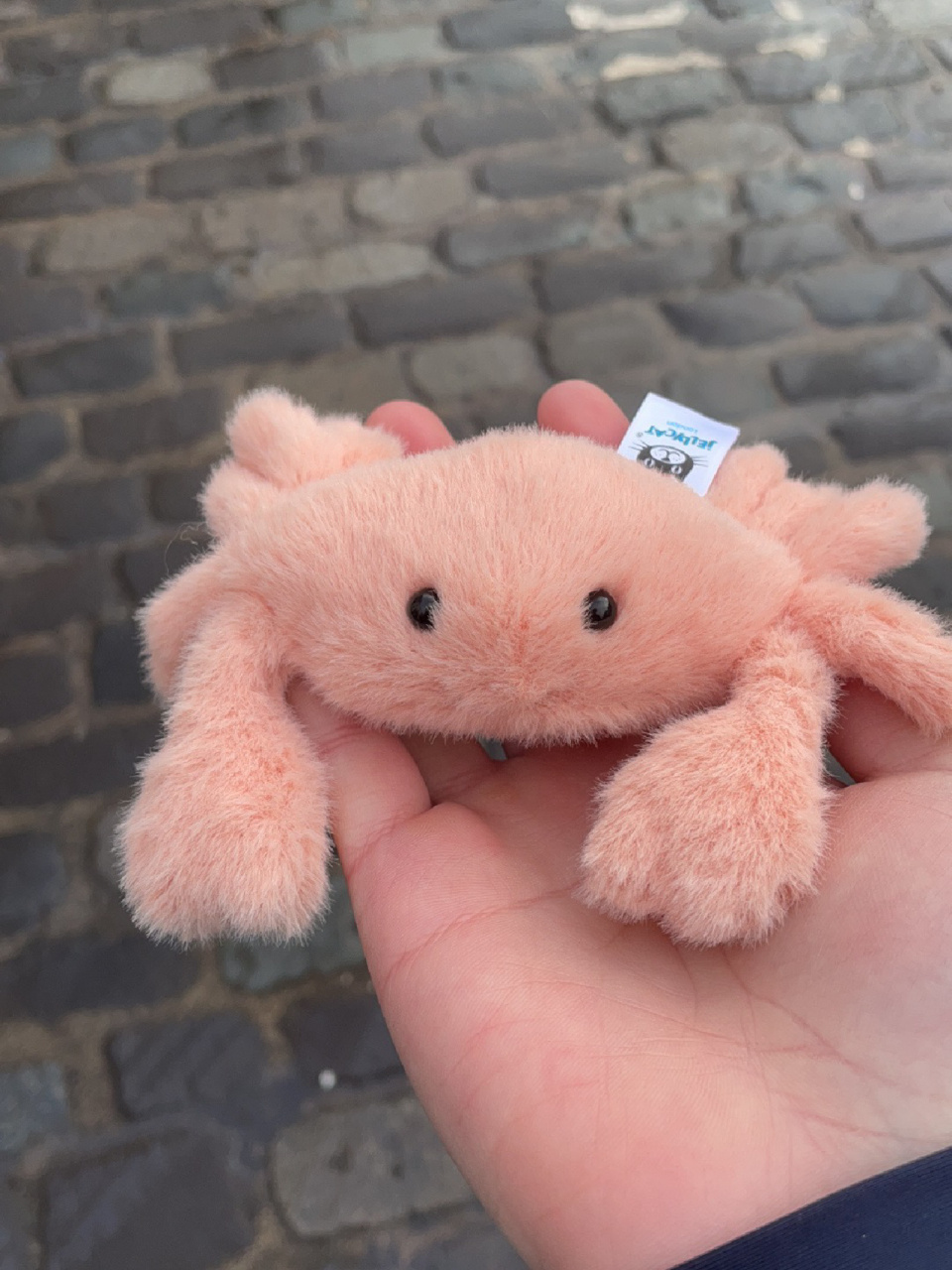 jellycat毛茸茸的小螃蟹0215 粉蟹宝宝太可爱了