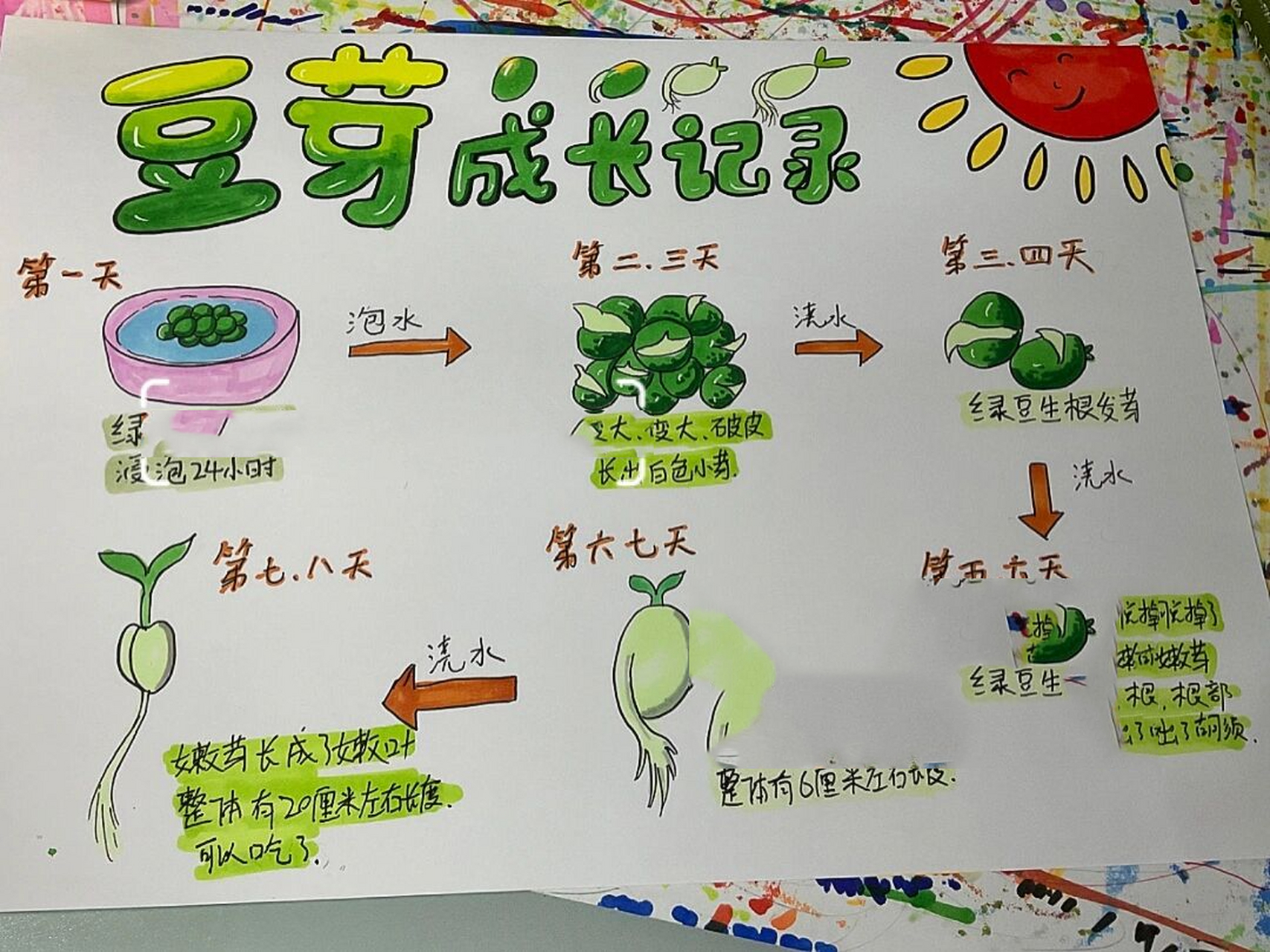 观察日记手抄报一年级图片