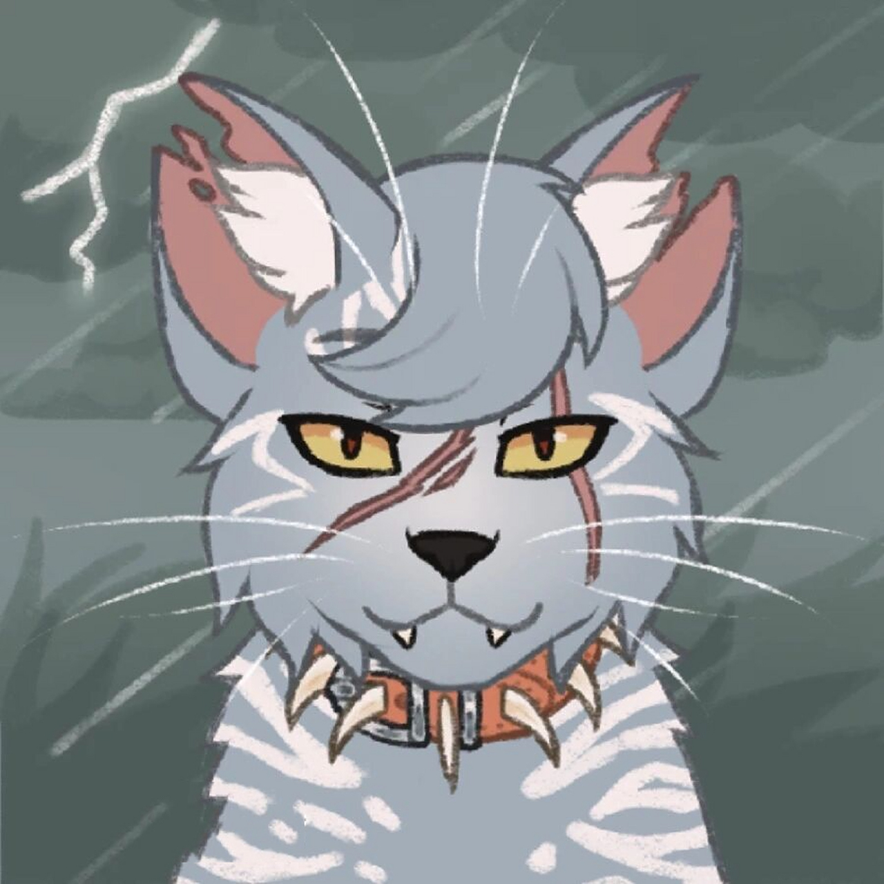 测测你的猫武士名字 前缀按生日月份      后缀生日日期个位 	 1桦