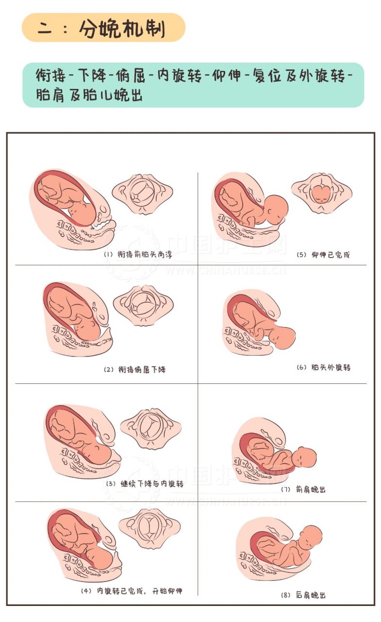 分娩机制 图解 分娩机制的一般过程: 	 衔接: 胎头双顶径进入骨盆入口