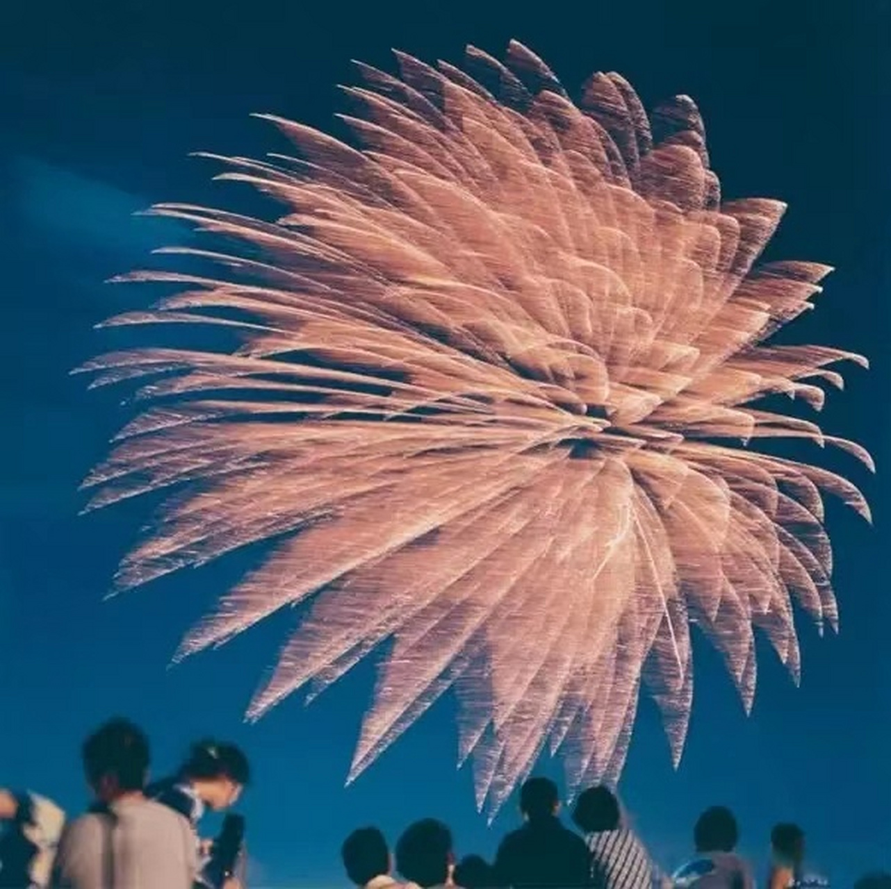 二胡独奏抖音_二胡抖音那首神曲叫什么_二胡乐器演奏抖音