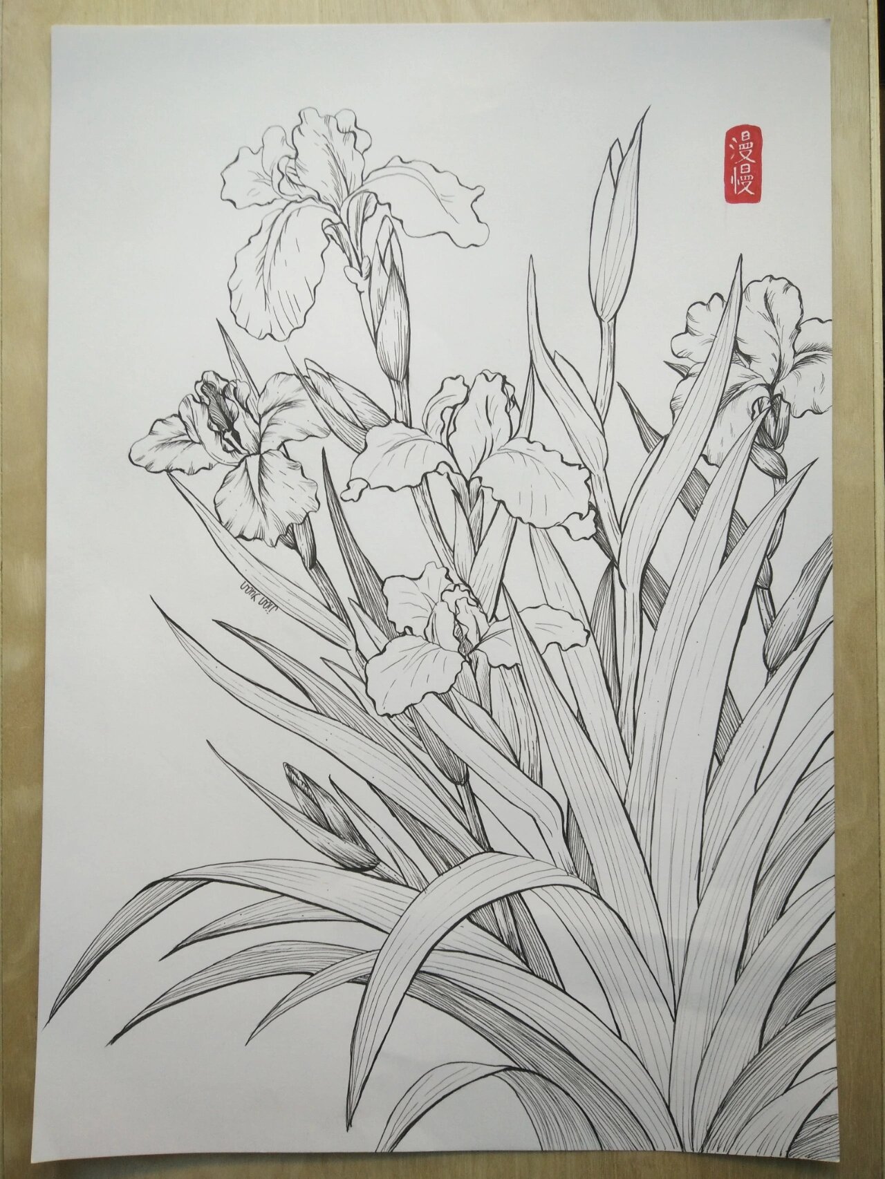 鸢尾花绘画马克笔线描插画装饰画原创