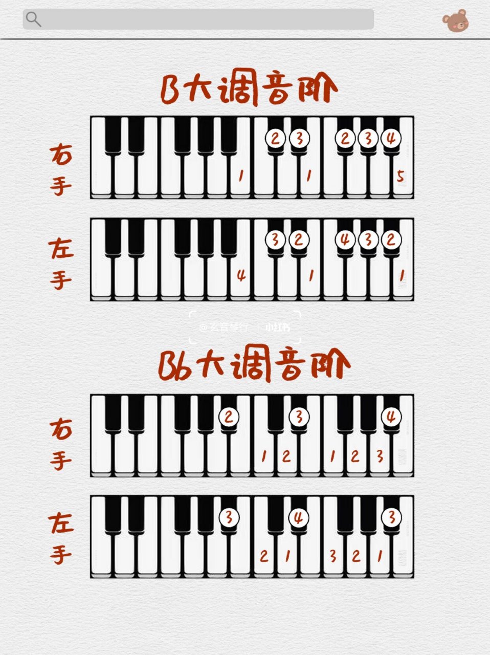 钢琴必备97|常用大调音阶指法(带左右指法)