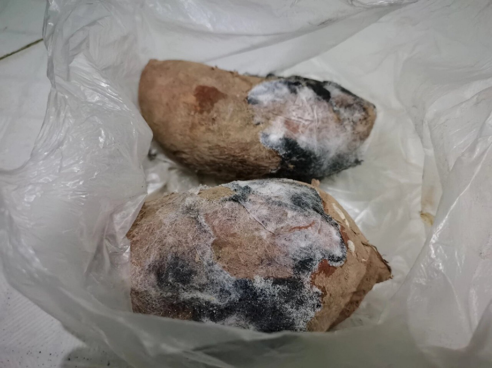 坏掉的原因是什么 烟薯25号,买来才吃了一个 没想到就坏了 之前买的放