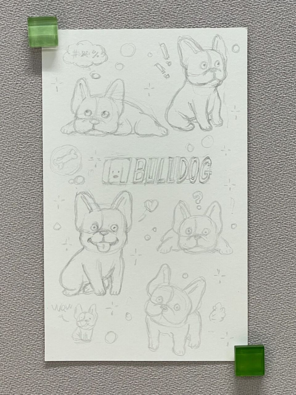 98狗狗简笔画100-17|斗牛犬 狗狗简笔画第17弹[期待]今天是"小怨种"