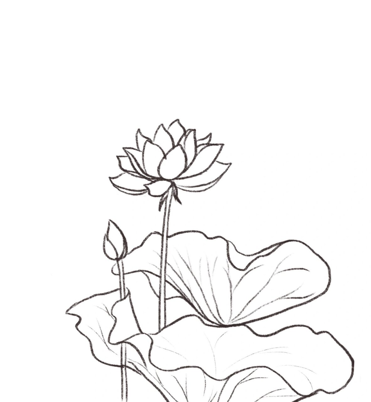 适合小孩纸画的荷花简笔画教程来啦!