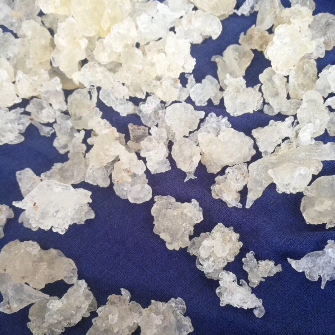 雪燕怎么辨别真假图片