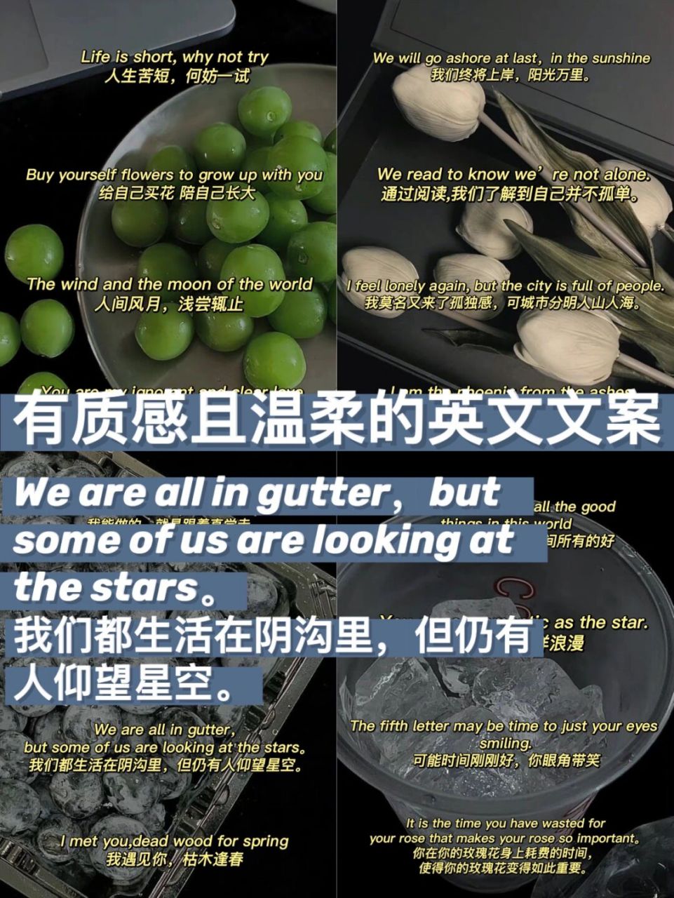 有质感且温柔的英文文案|你与星光同样浪漫 94life is short, why