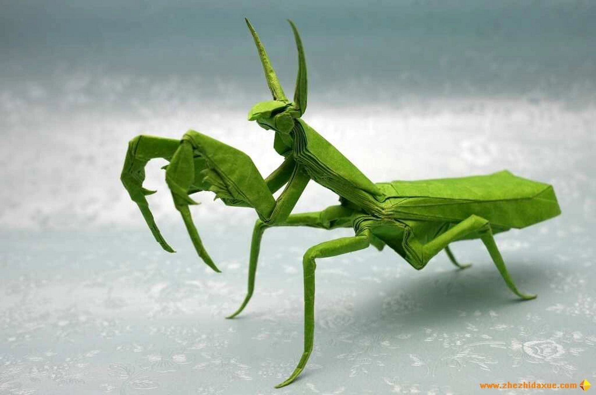 折纸螳螂 一纸成型,不剪不粘!