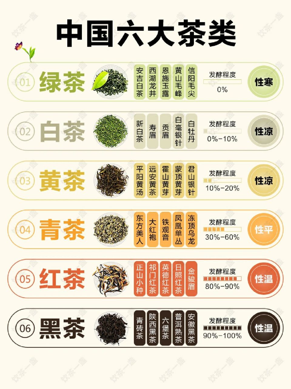 中国六大茶类知识(珍藏版) 绿茶红茶黄茶白茶青茶黑茶茶叶类型茶叶