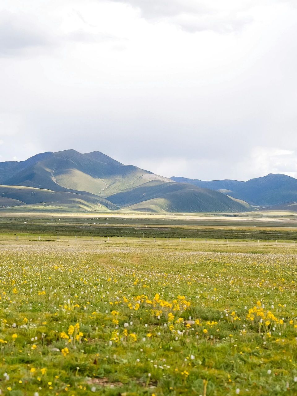 毛垭大草原|中国国家地理92最美的草原之一 距离丁真的故乡"天空之
