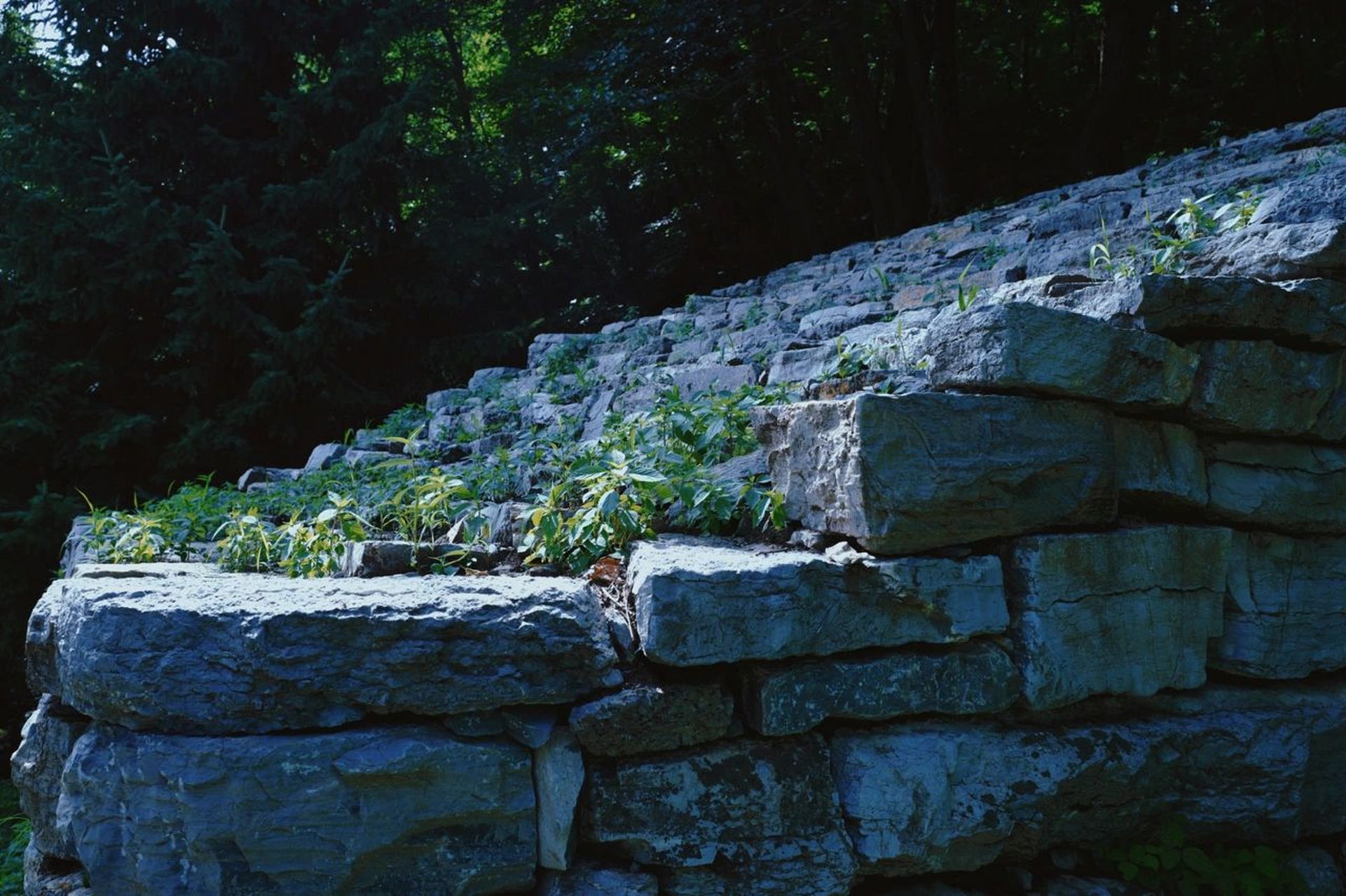 吉林柳河罗通山之美 我去过很多次柳河!