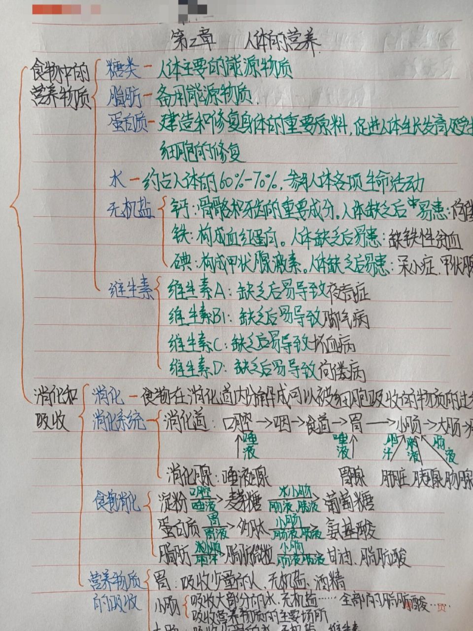 七下生物第二章思维导图 七年级下册生物第二章思维导图