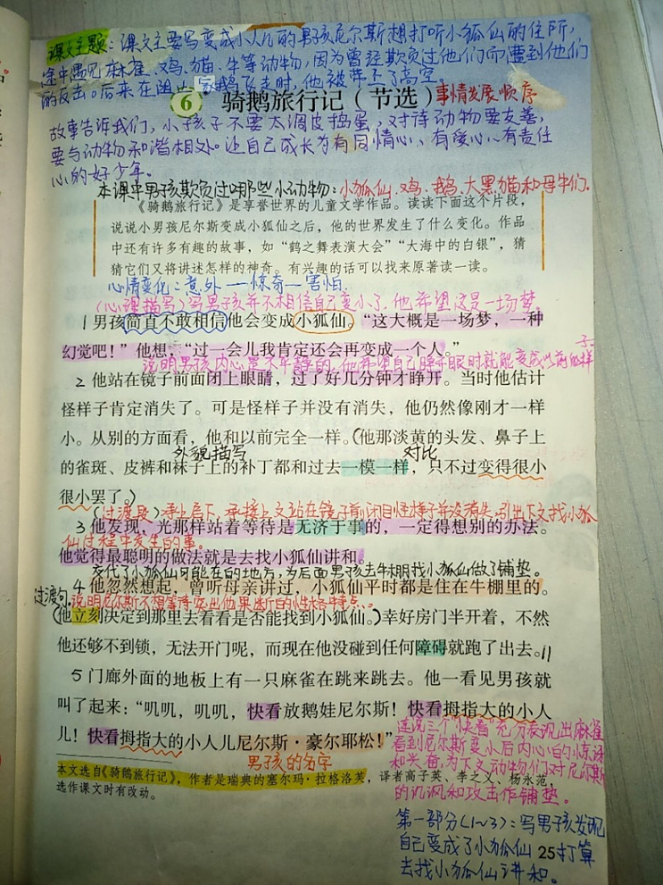 6《骑鹅旅行记(节选)》课文批注 #六年级语文笔记