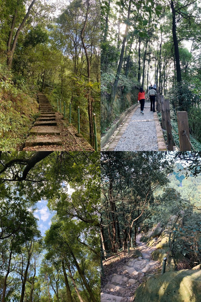 重庆登山好去处图片