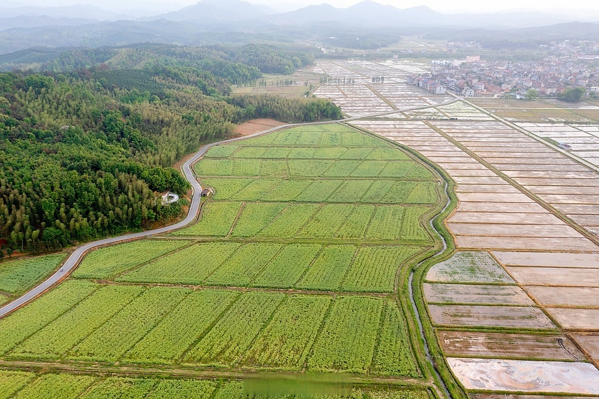 乡村中国#【江西抚州:高标准农田连片分布】在江西抚州金溪县何源镇