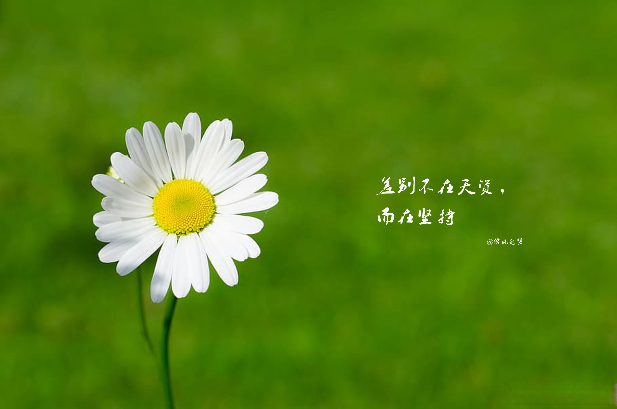 读书者,视文字如珠玑,视文章为瑰宝,天下山水皆有字,人情练达皆文章