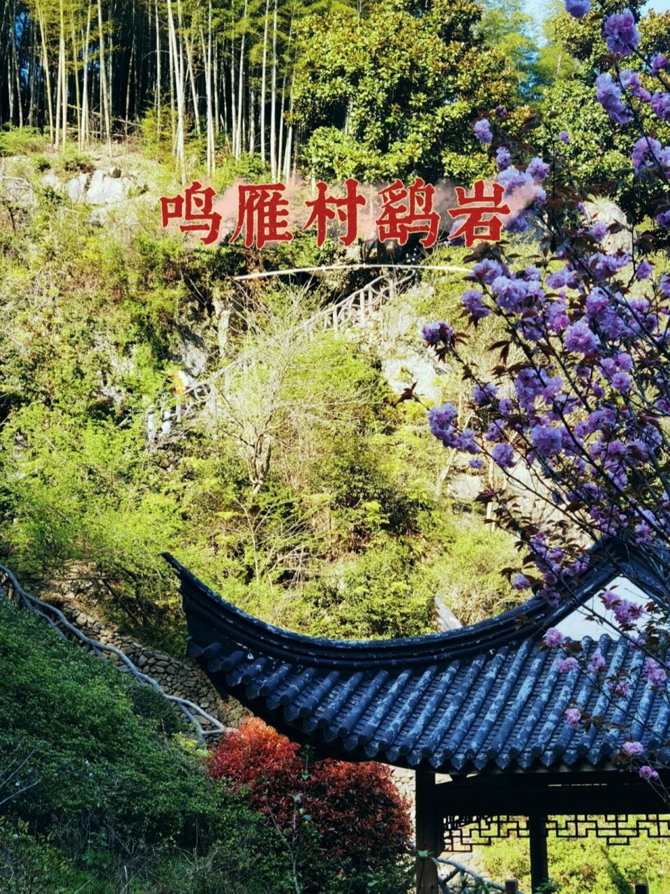 宁波周边游好去处‖美丽乡村奉化尚田鸣雁村  去年秋天的一次桥棚村