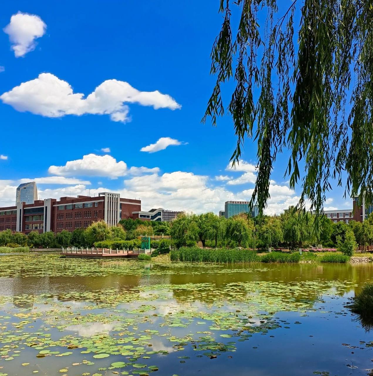 大学 老学长给你们新生发一些学校的照片康康吧,学校地处承德高新区