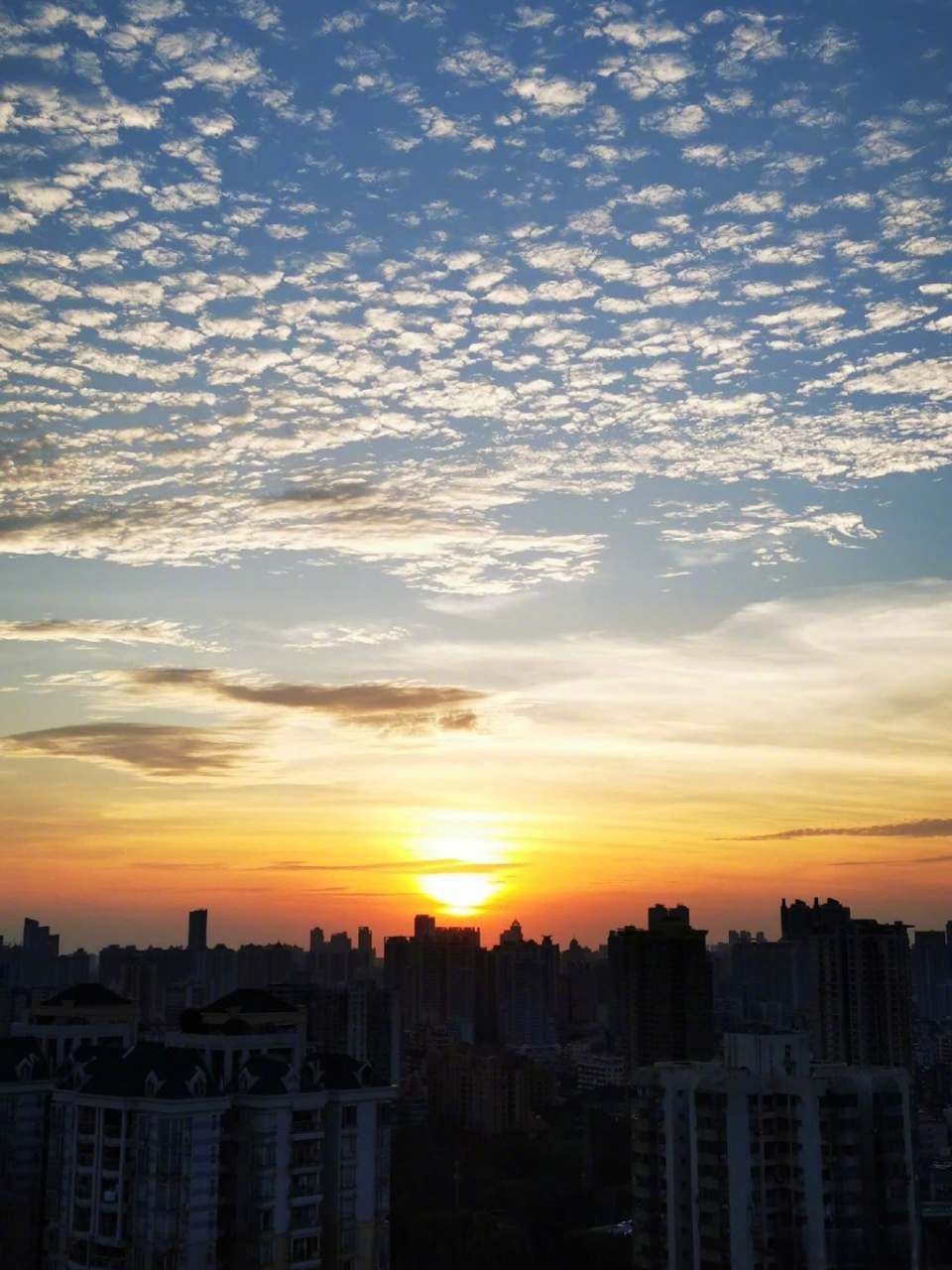 7月14日下午,广州天空出现大片鱼鳞云,许多的云块如同鱼鳞一样,椰片