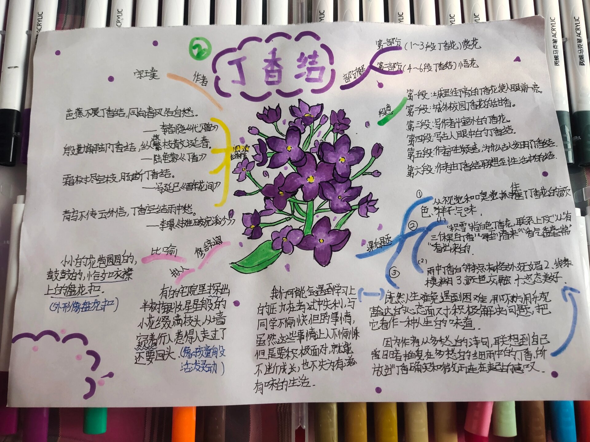 思维导图 六年级上册第一单元的第二课,丁香结