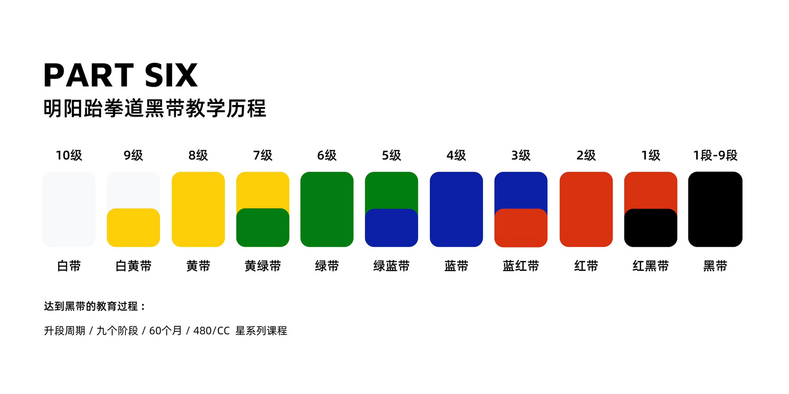 跆拳道段位颜色分级图片