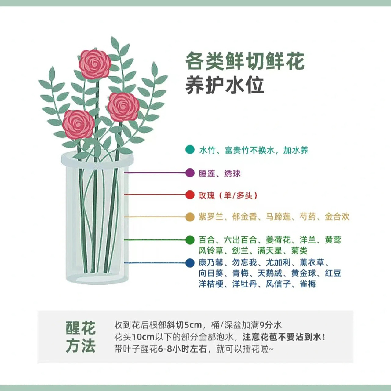 网购鲜花怎么醒花,详细教程来啦 醒花做好了,能多养一周哟,自然,来