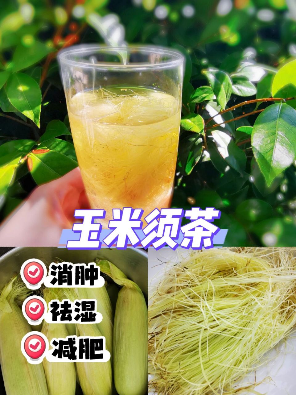 玉米须茶的作用与功效图片