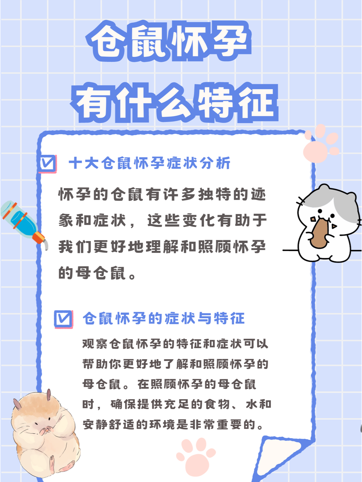 仓鼠怀孕症状接生图片