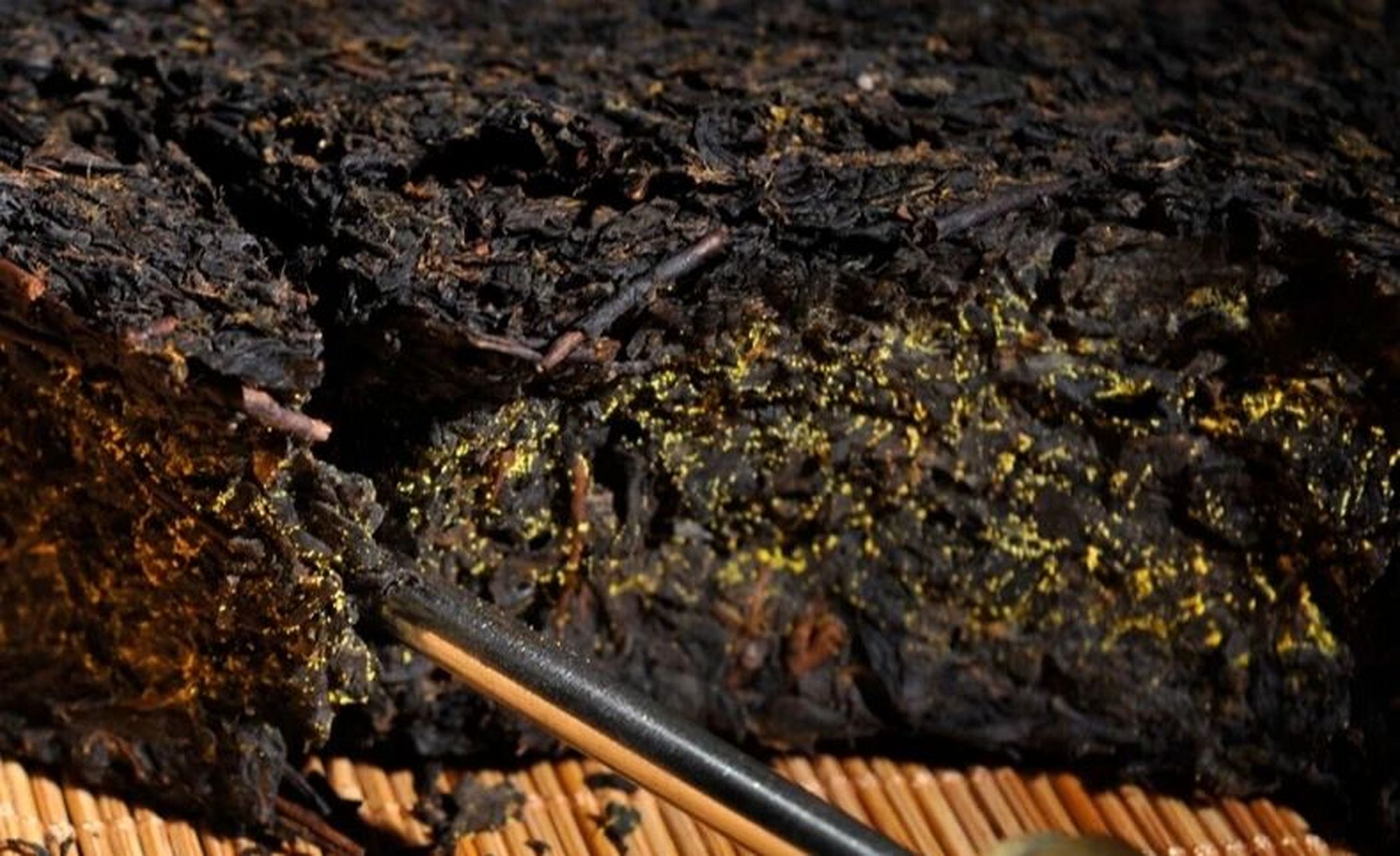 如何分辨茯砖茶上的"金花"和"霉变" 黄曲霉外观也呈黄色片状分布,在