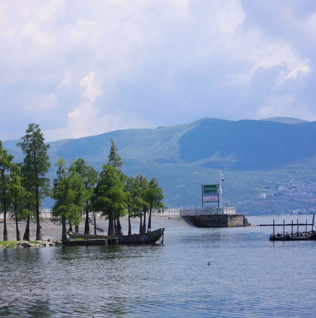 今日洱海 才村码头/龙龛码头 98今天超级晒 拍完照根本不想动了  我