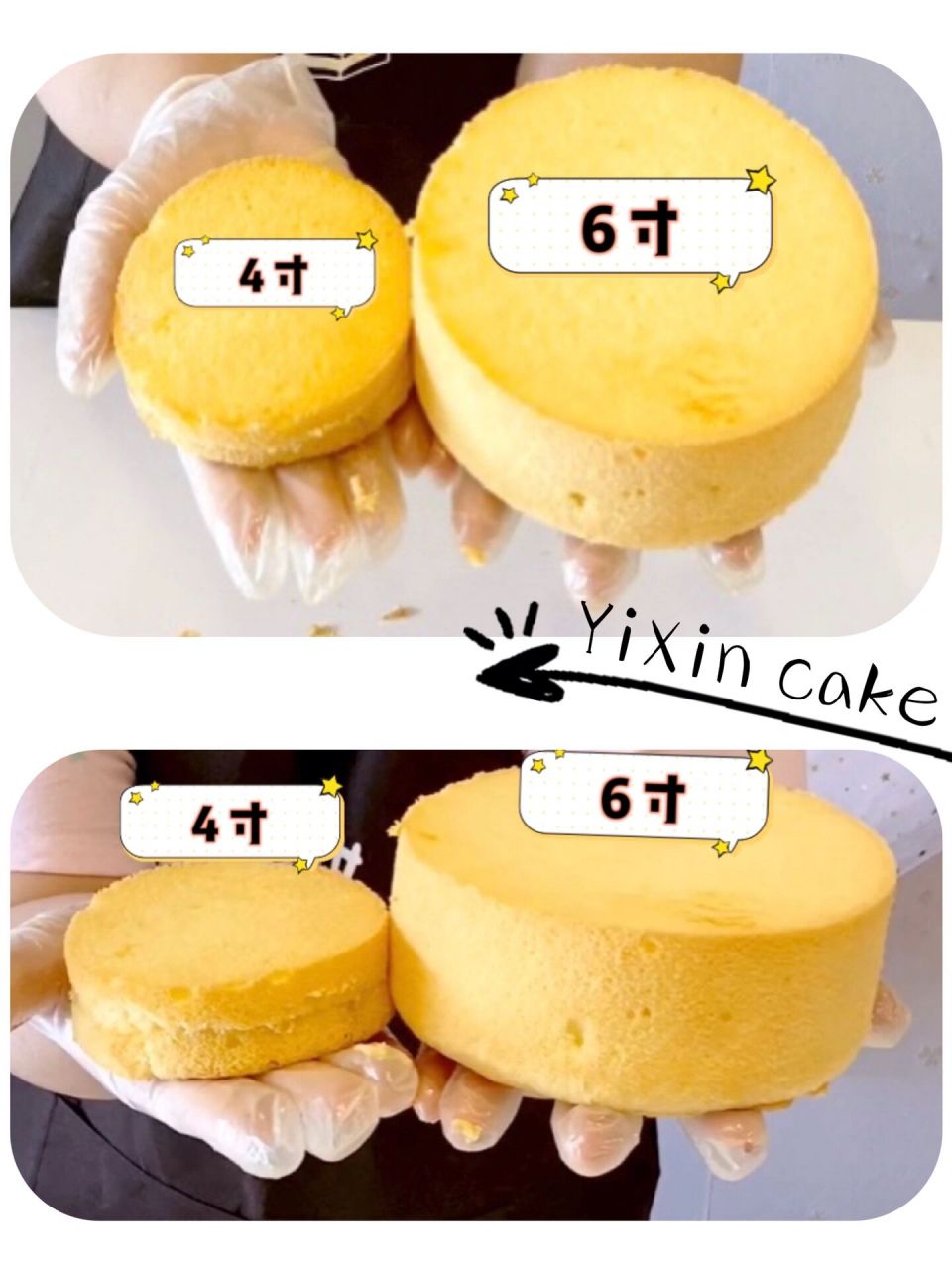 6寸4寸蛋糕大小参照图图片