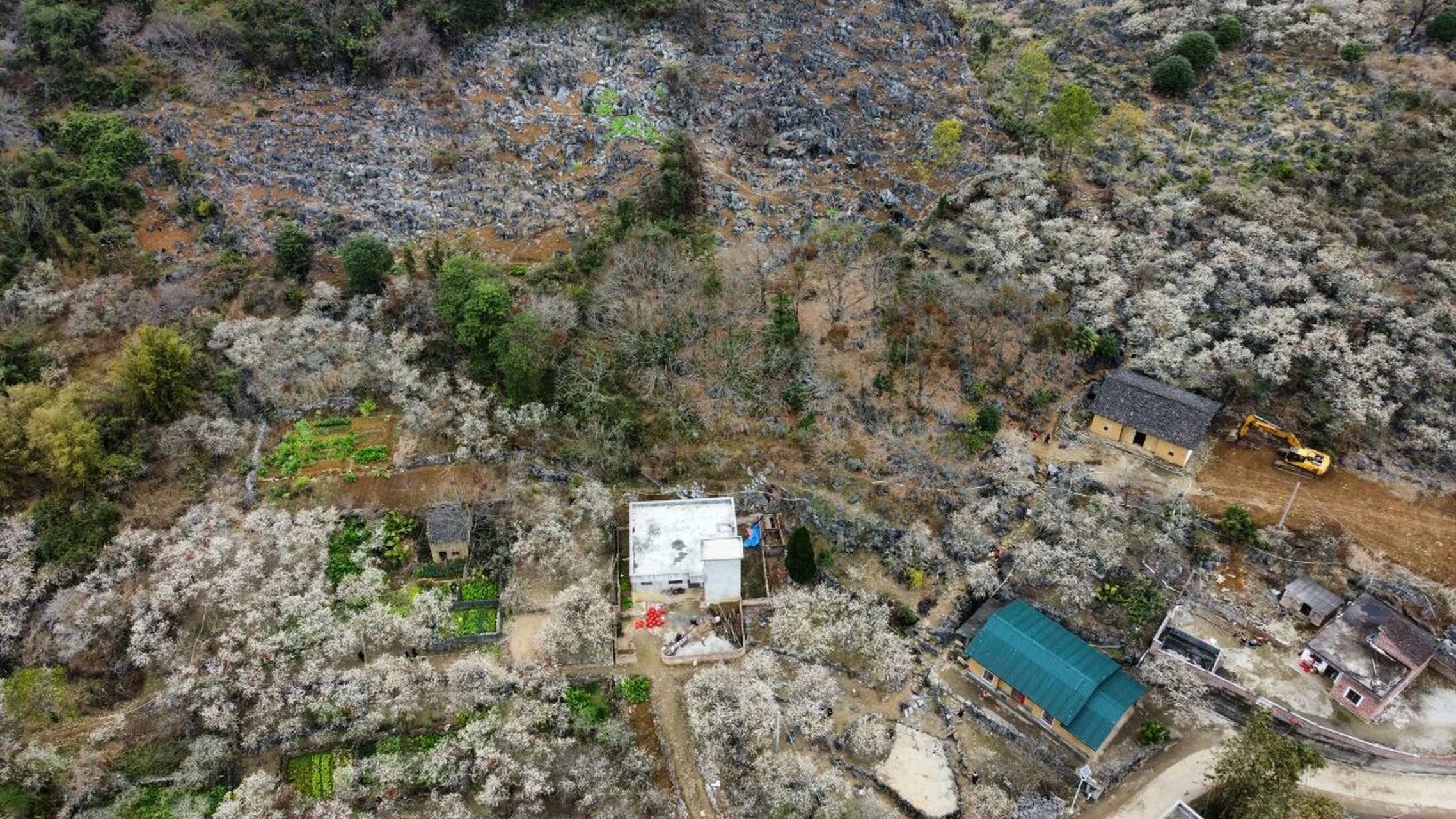 阳山水浪花谷图片