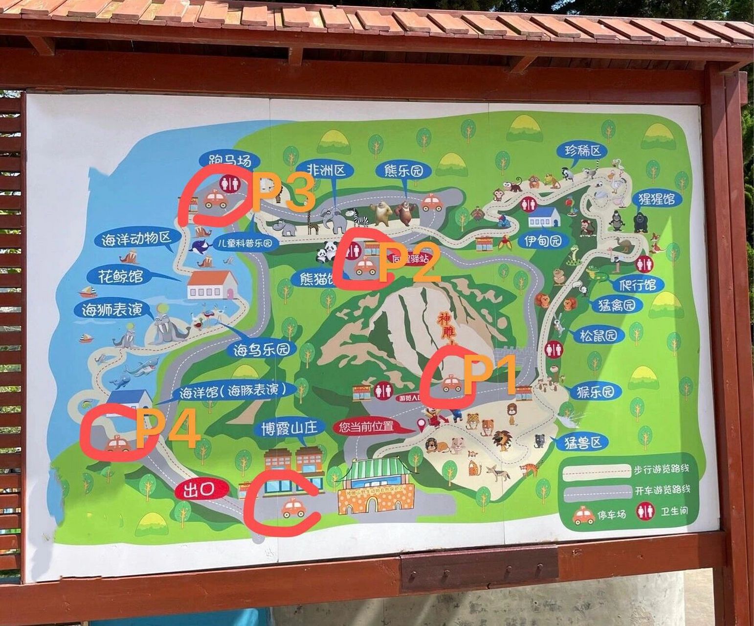 威海神雕山野生动物园旅游攻略 青岛出发3小时左右的距离可自驾/大巴