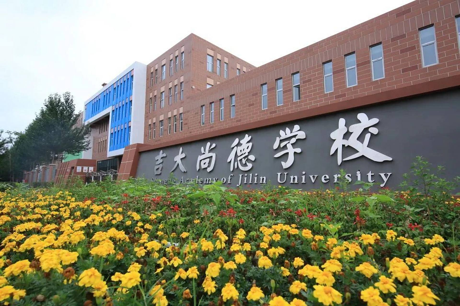 娃好像小学直接入学吉大正德.