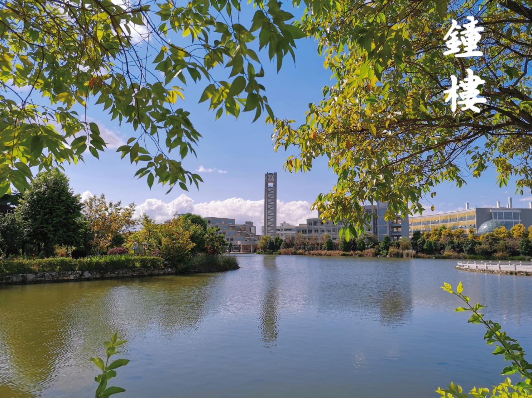 红河学院 校区图片