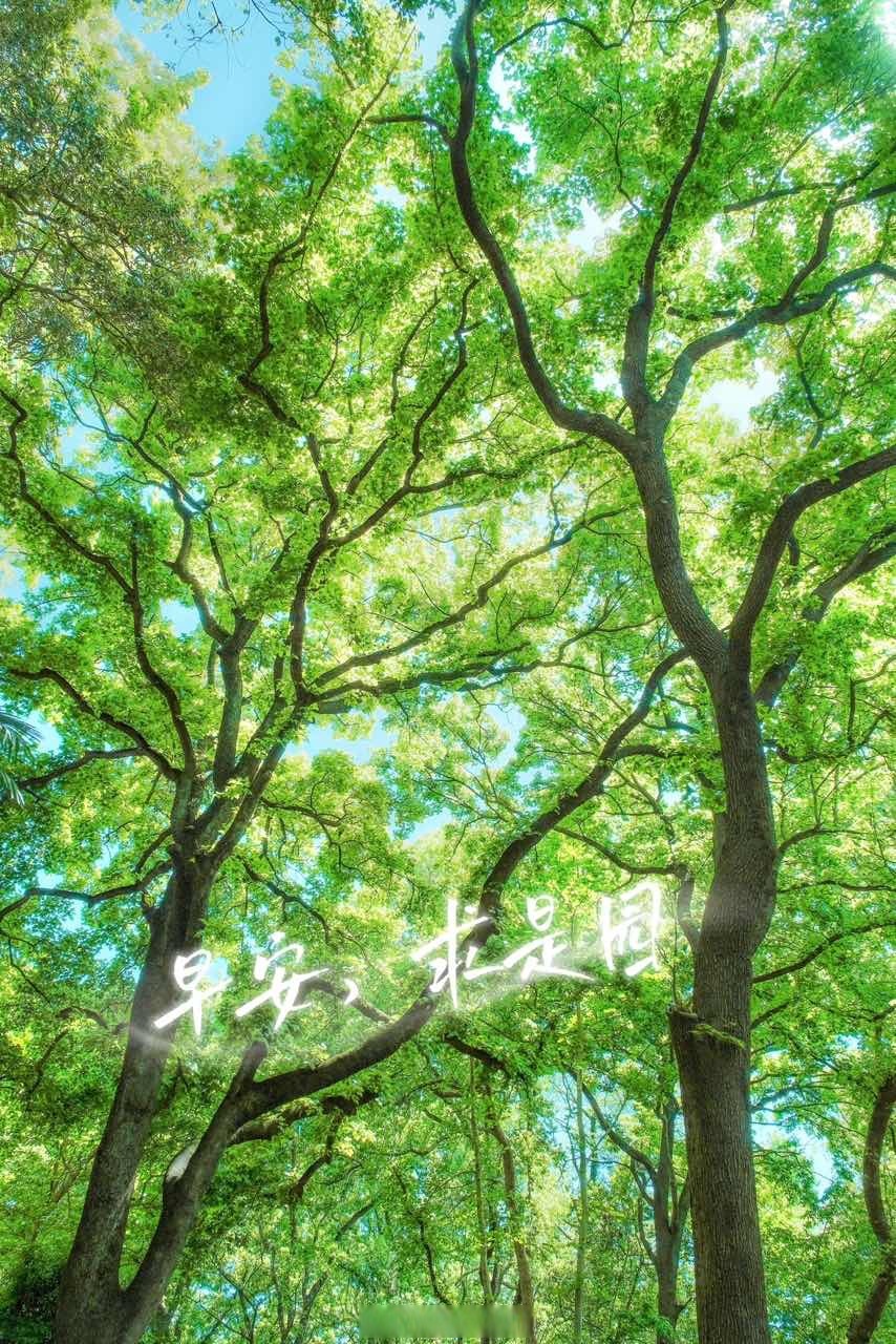 早安,求是园 早起醒来给自己加个油 睁开眼又是一段崭新的旅程 小浙祝