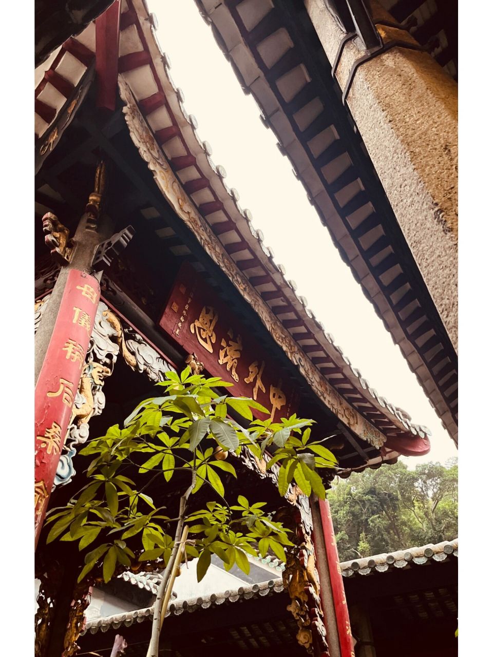 莲峰庙 路过几次,终于走进.很有历史感,庙中建凉亭也很少见.