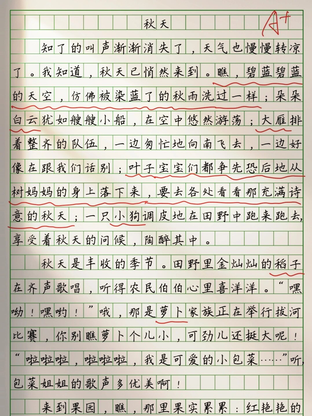 小学生作文格式样本图片