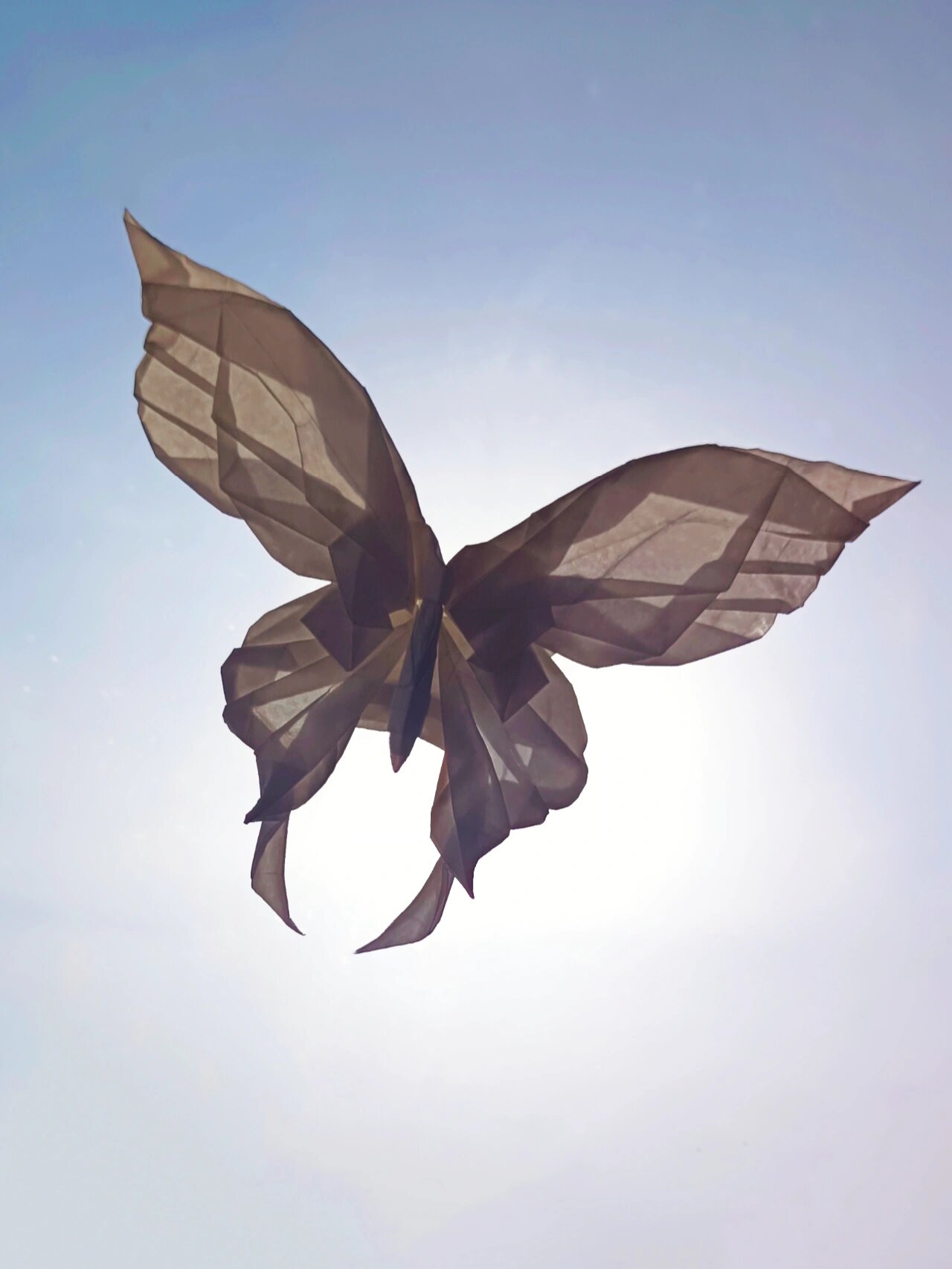 超级美的银蝶,设计者刘jhhhhhh