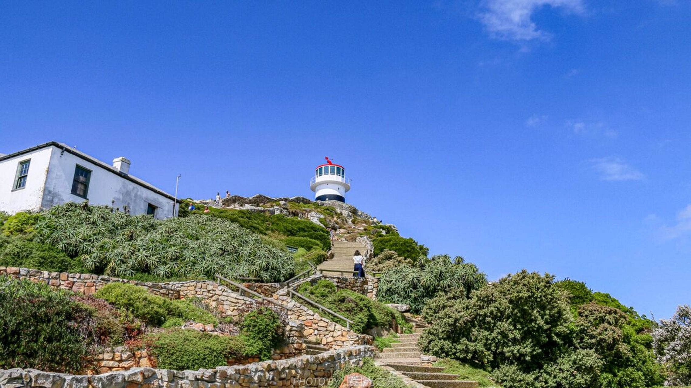 开普敦·cape point 除了好望角以外,开普角也是一个非常有名的打卡地