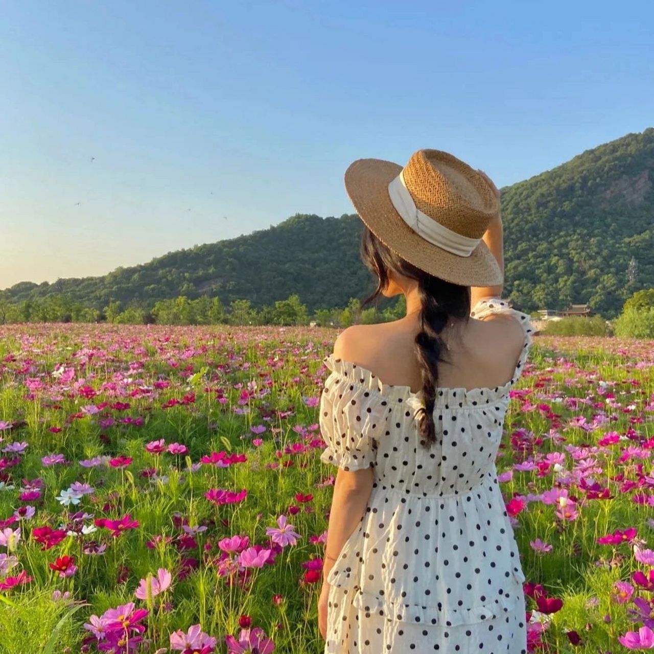女生背景图片唯美意境 人生需要准备的,不是昂贵的茶,而是喝茶的心情