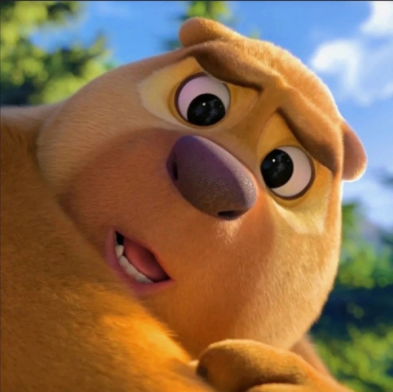 熊熊搞笑头像06 最后两张凑图07