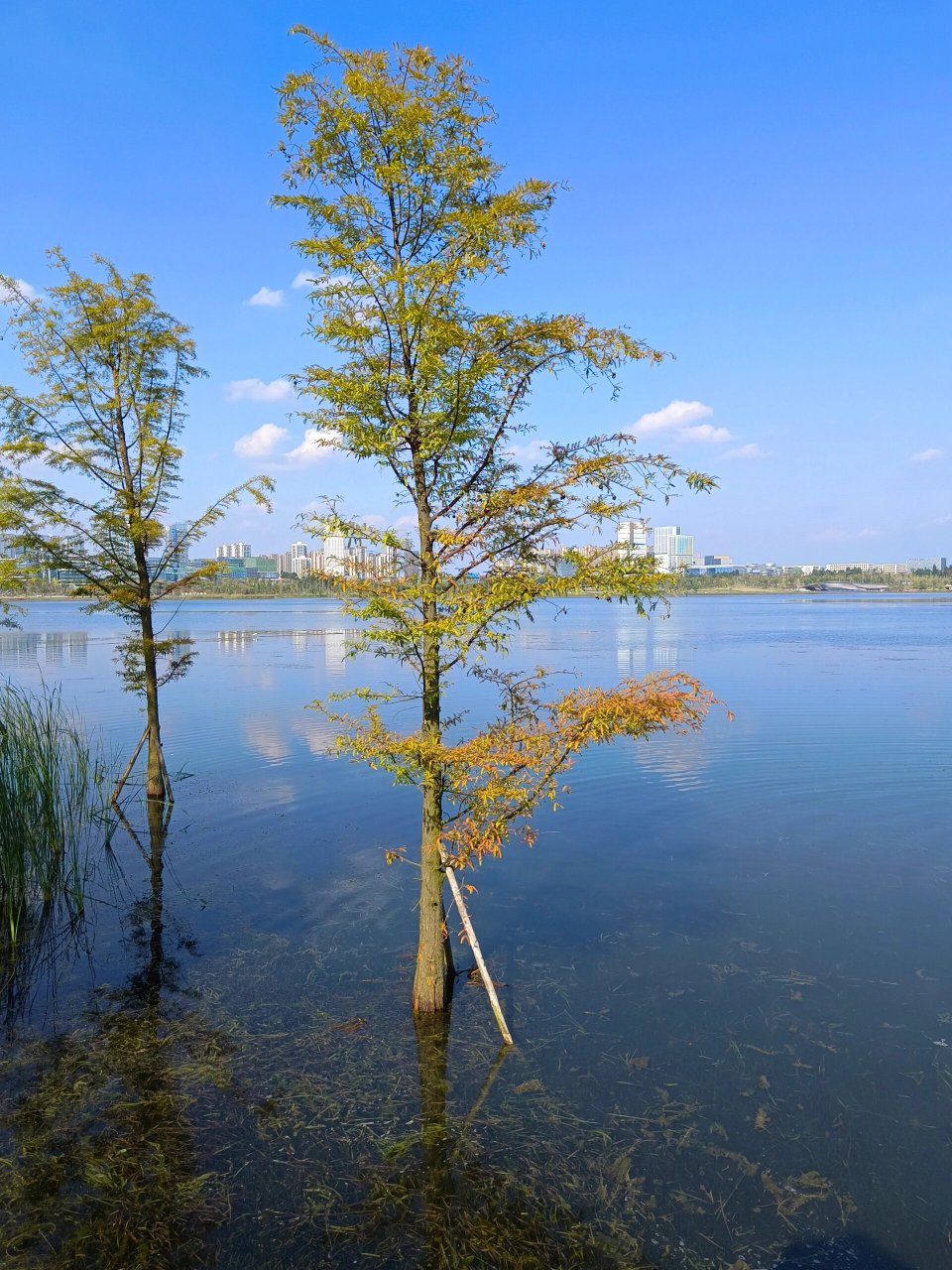 兴隆湖湿地公园多大图片