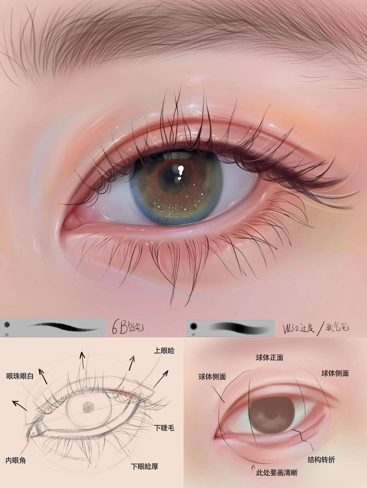 超简单的眼睛画法 手绘教程 procreate 板