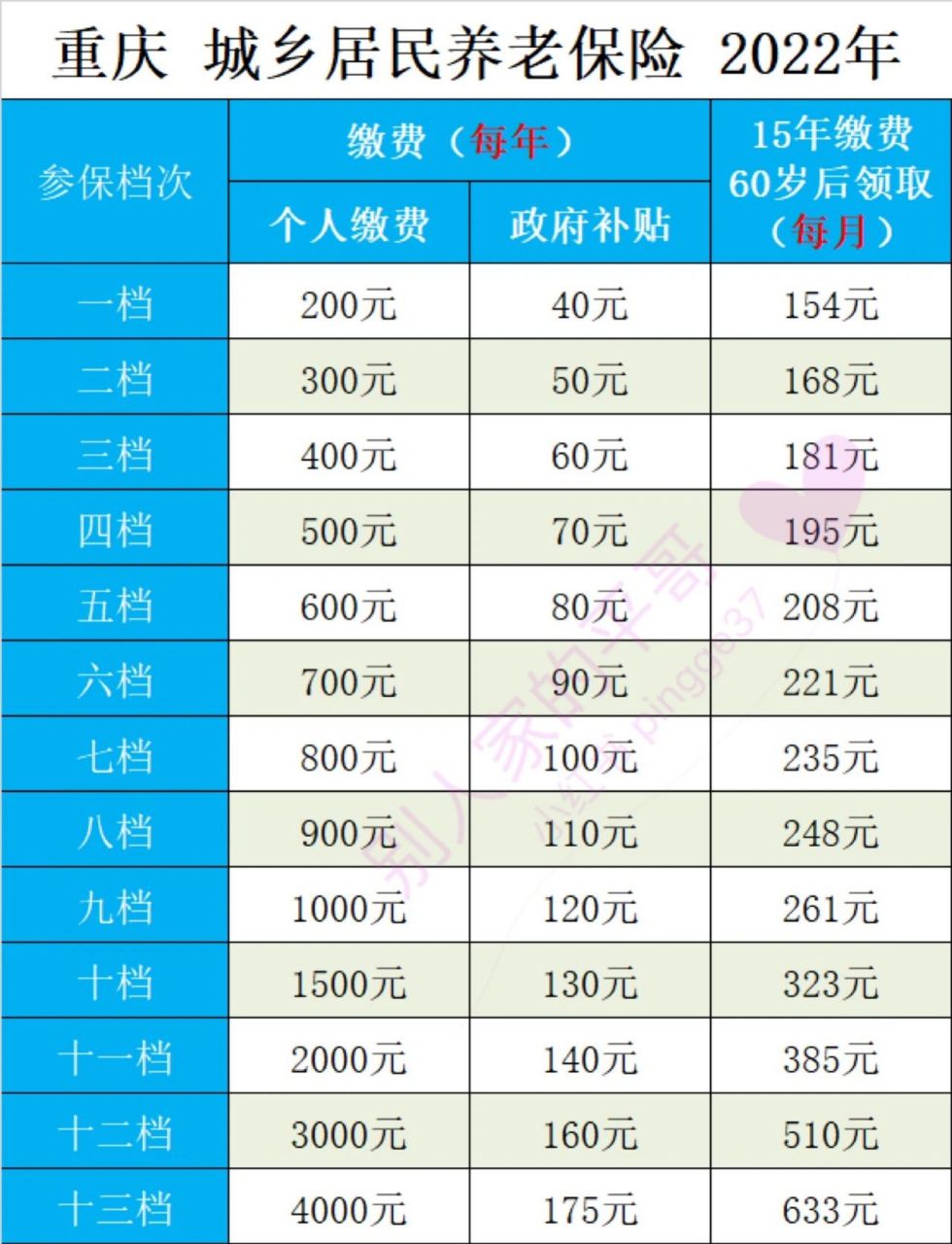 2022年社保缴费明细表图片