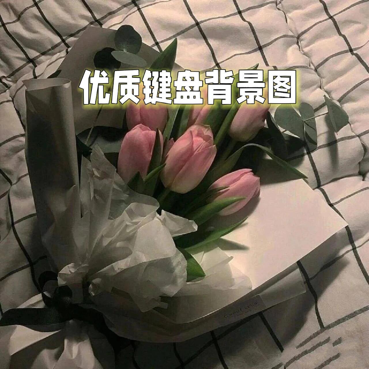 好看的键盘背景图