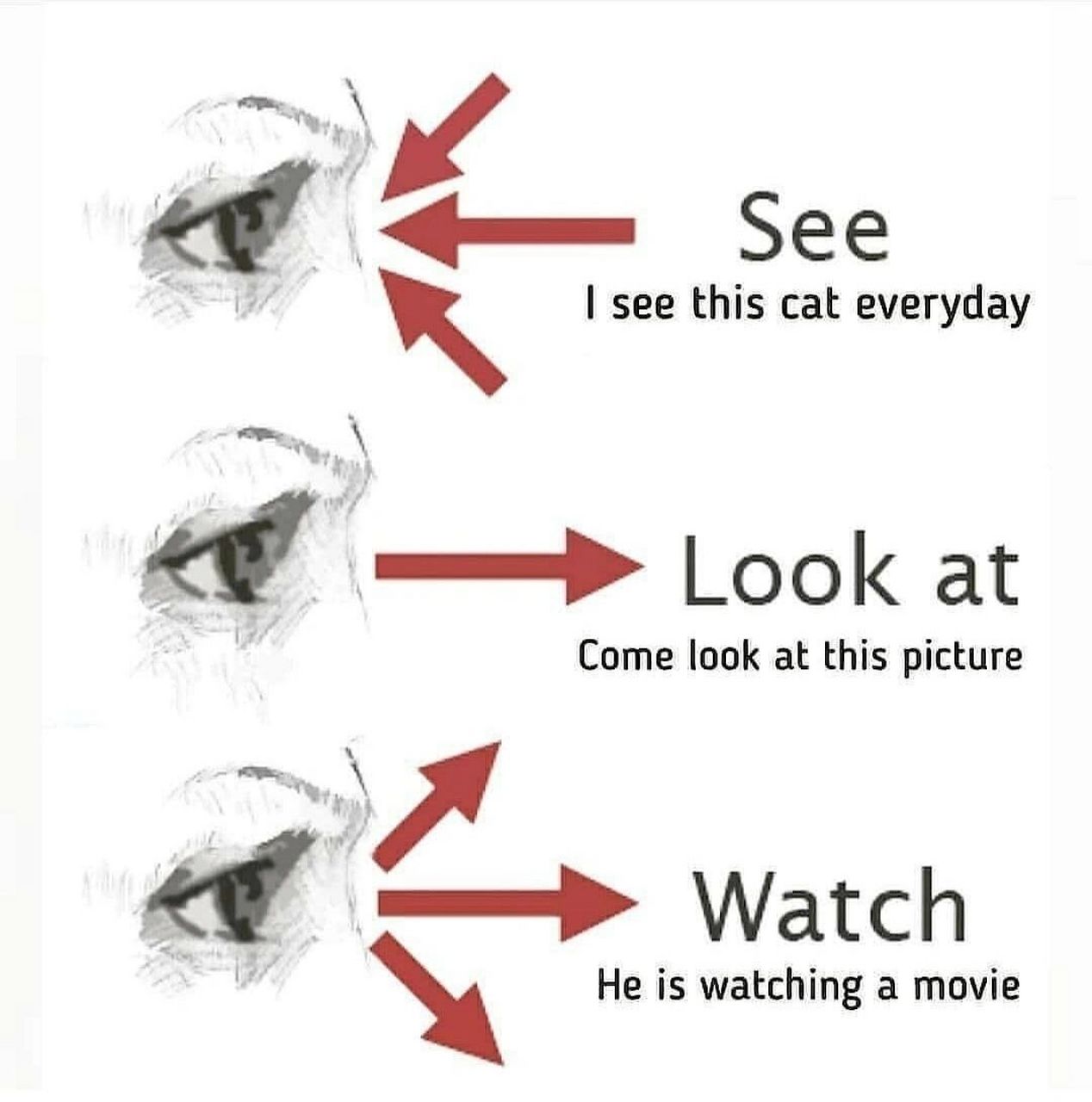 see,look at,watch的区别|一看就懂7215 三个"看",含义略不同.